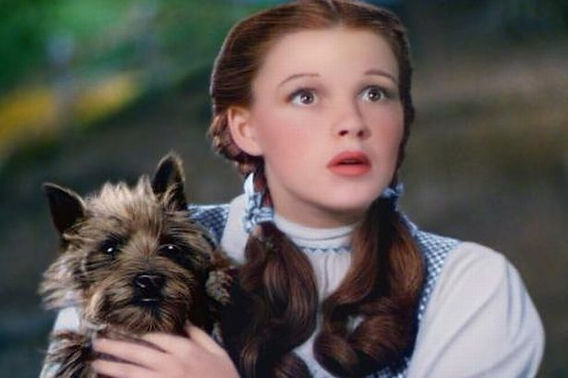 We Are Not In Kansas Anymore